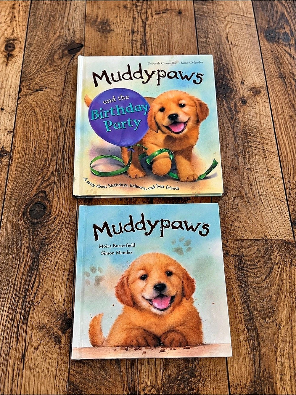 Muddy Paws and the Birthday Party / Muddy Paws Children's Hardcover